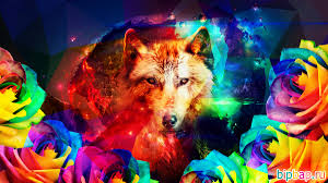 feedback-image